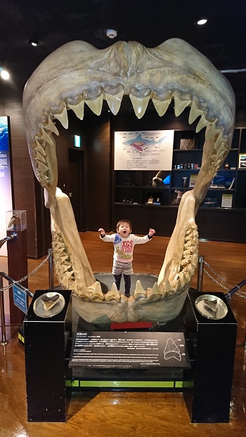13日・キャンカー旅行①名護パイと美ら海！